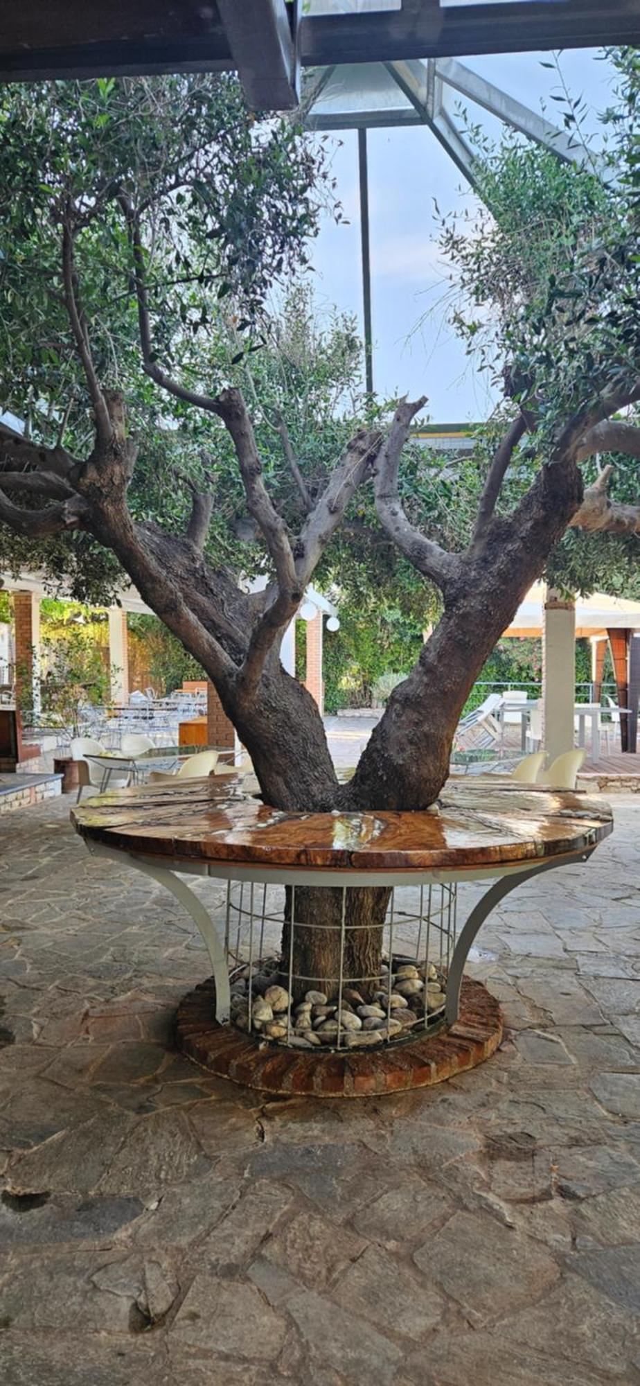 Olympic Village Hotel & Spa Ancient Olympia Exterior foto
